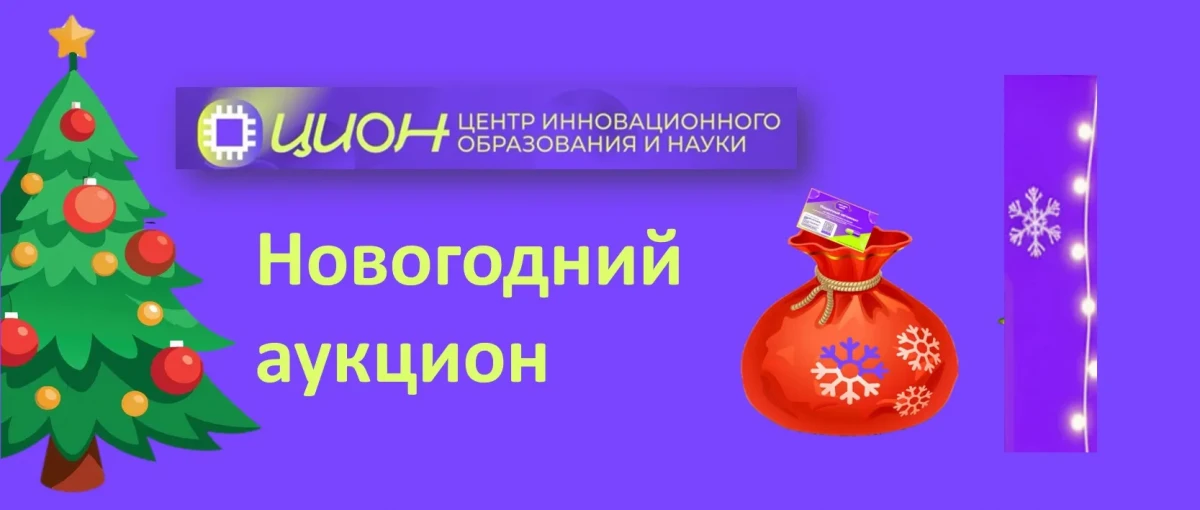 Новогодний аукцион